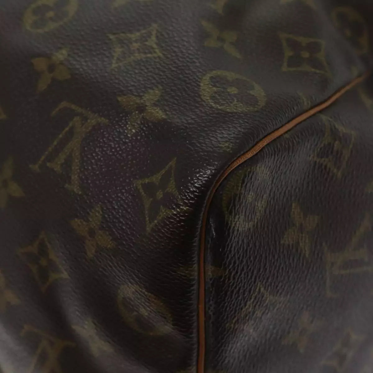 Louis Vuitton Speedy 35